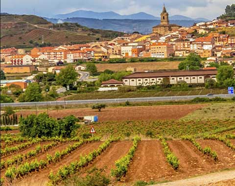 Taxi para turismo enológico, taxi para eventos, taxi para bodas, taxi para empresas, taxi Navarrete La Rioja